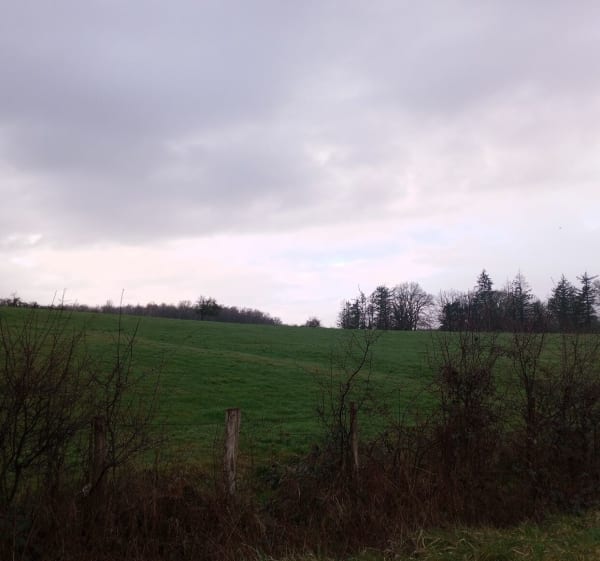 Montracol Montcet par les bois - Montcet - 1