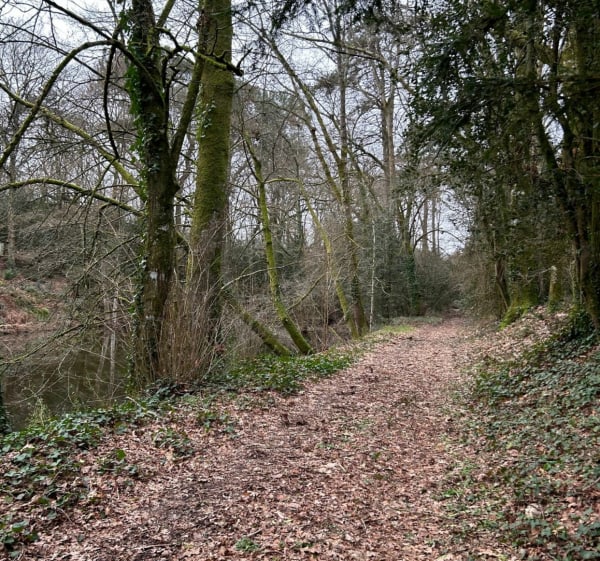 Randonnée à Treillières - Treillières - 1