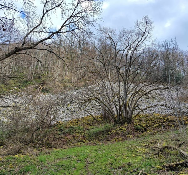 Autour de Pignols - Pignols - 1