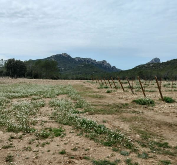 Boucle 174.Prades le Lez. - Prades-le-Lez - 1