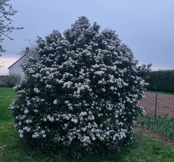 Boucle d'Ezerville à Marsainvilliers - Stephanie - 1