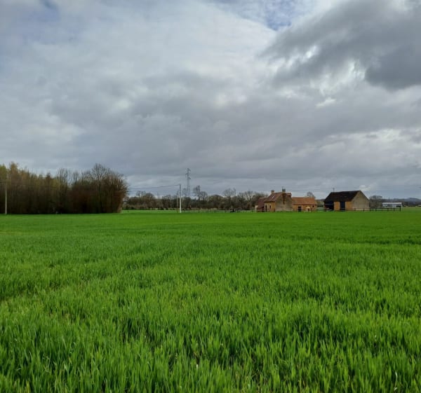 Marche Torcé en Vallée - Torcé-en-Vallée - 1