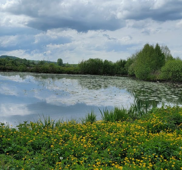 Promenade à VTC autour des marais et de la Somme - Long - 1