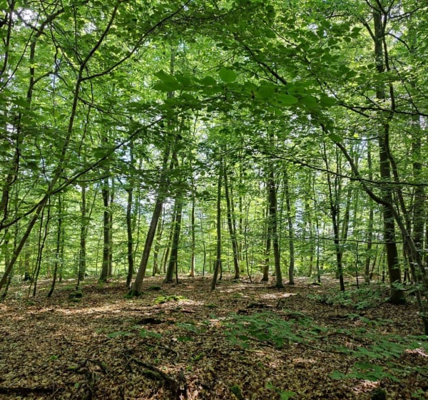 Balade à VTT sur les hauteurs de Saint-Bernard - Piblange - 1