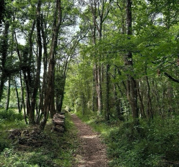Autour de l’abbaye de Bonnefont par le chemin blanc - Arnaud-Guilhem - 1