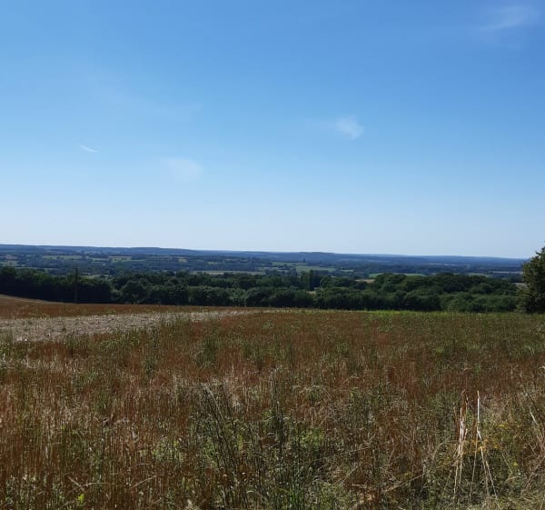 Boucle forestière à Courgenard - Courgenard - 1