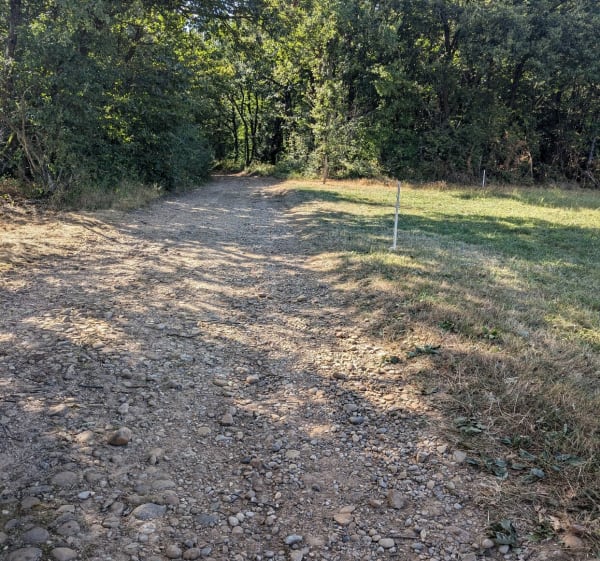 Balade dans les bois à Richoux - Assieu - 1