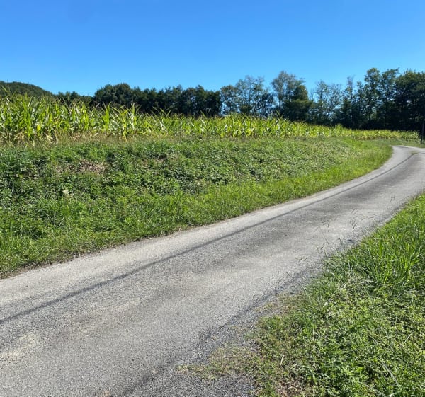 Balade vers les landes depuis Lomps - Morlanne - 1