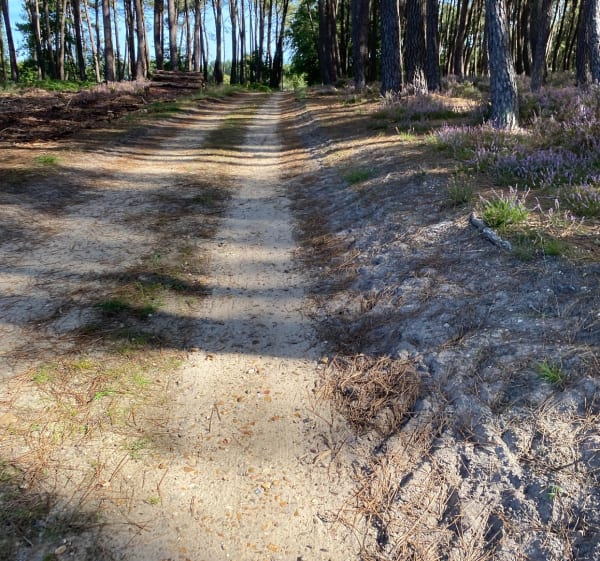Sortie VTT à Roëzé-sur-Sarthe - Roëzé-sur-Sarthe - 1