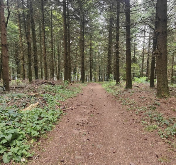 Route sur la roche - Mâcon - 1