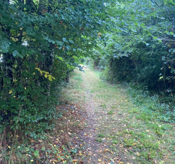 Montfort-le-Gesnoy - Montfort-le-Gesnois - 1