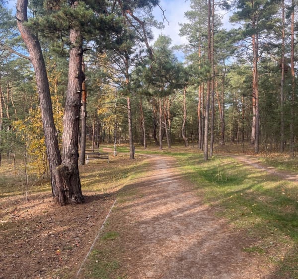 Wycieczka po parku i Toruń - Toruń - 1