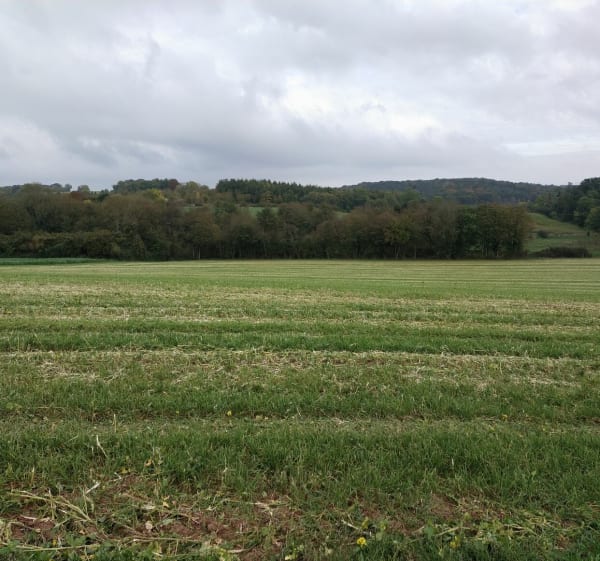 De Labbeville à Nesles la Vallée via Frouville - Labbeville - 1