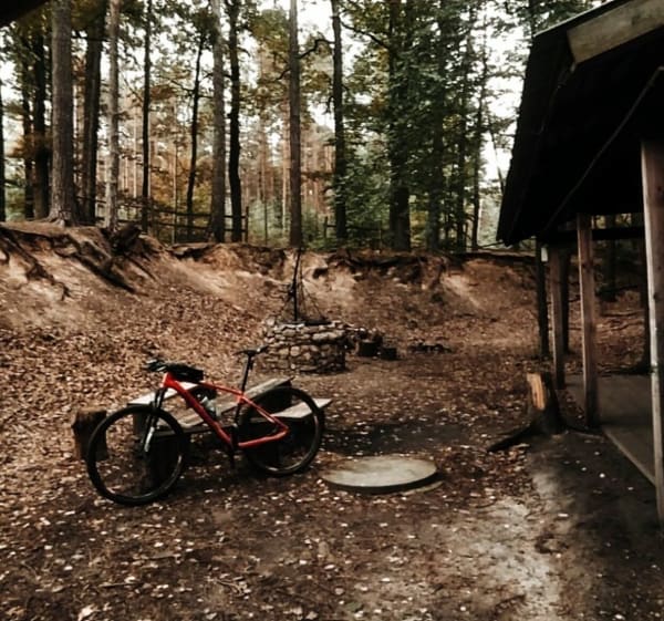 Leśna trasa ze sporą ilością przewyższeń. - Gorzów Śląski - 1