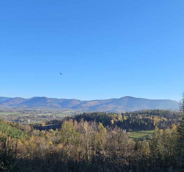 Velky Javornik - Trojanovice - 1