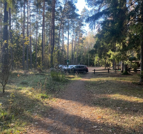 Trasa spacerowa Majówka - Majówka - 1