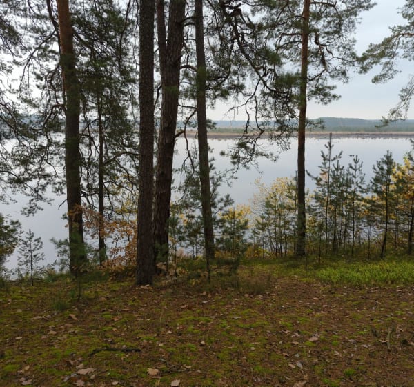Imielty Ług - Szwedy - 1