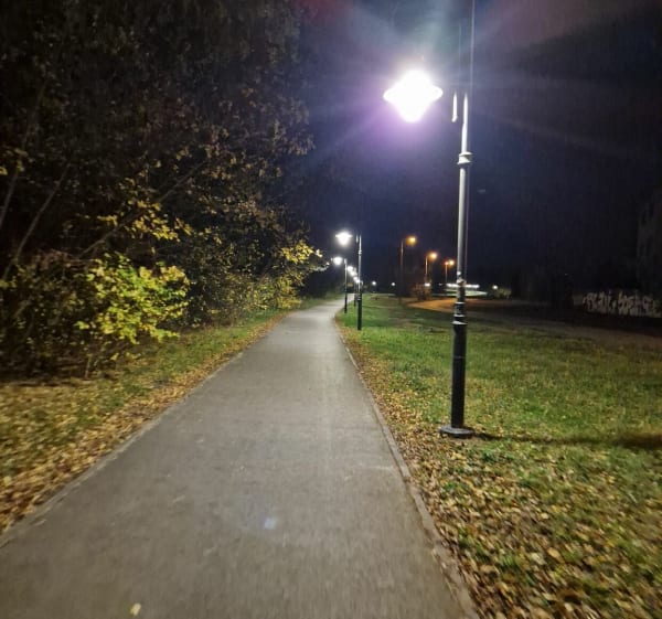 Spacer buwary piotrówka - Radom - 1