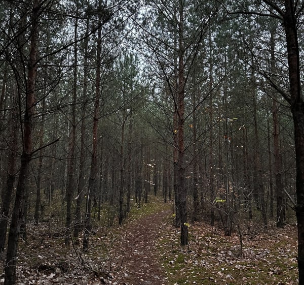 Luźny spacer - Słupno - 1