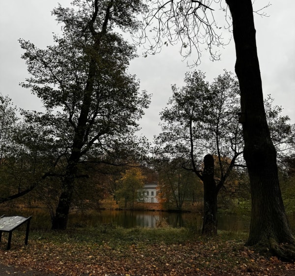 Park Julianowski, trasa pieszo-biegowa - Łódź - 1
