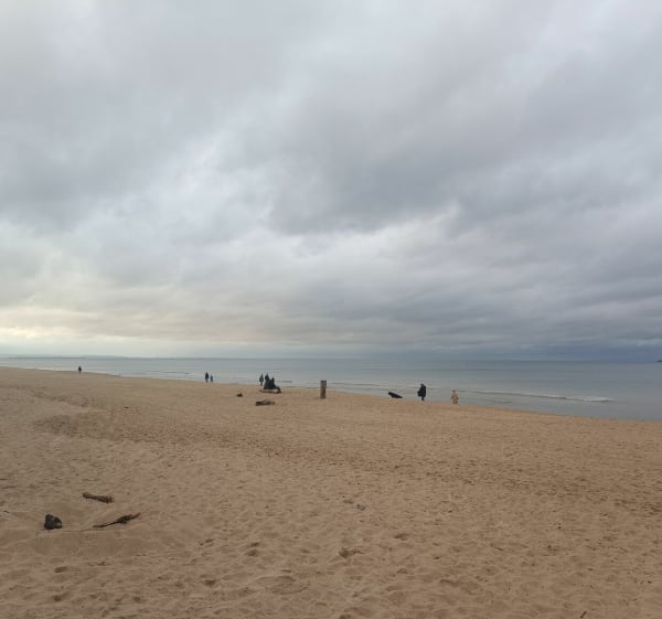 Lasem i plażą dookoła dywizjonu rakietowego - Gdańsk - 1