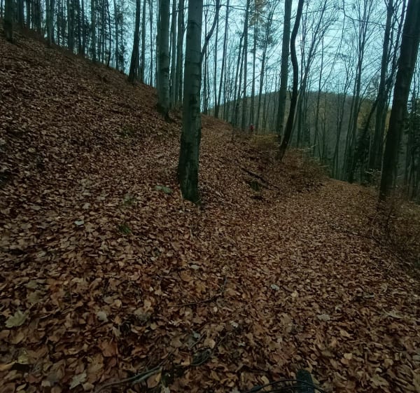 Kolarstwo Górskie MTB Singletrack Olbrzymy - Jelenia Góra - 1