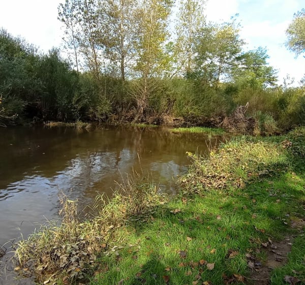 Bord du canal et bord de la Loire - Mably - 1