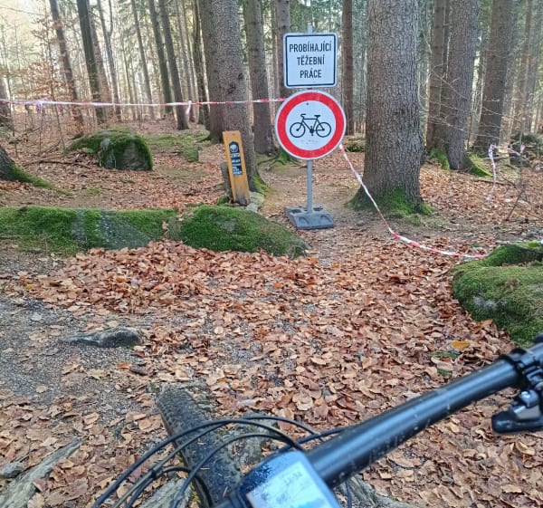Kolarstwo Górskie MTB Singletrack Świeradów - Hejnice - 1