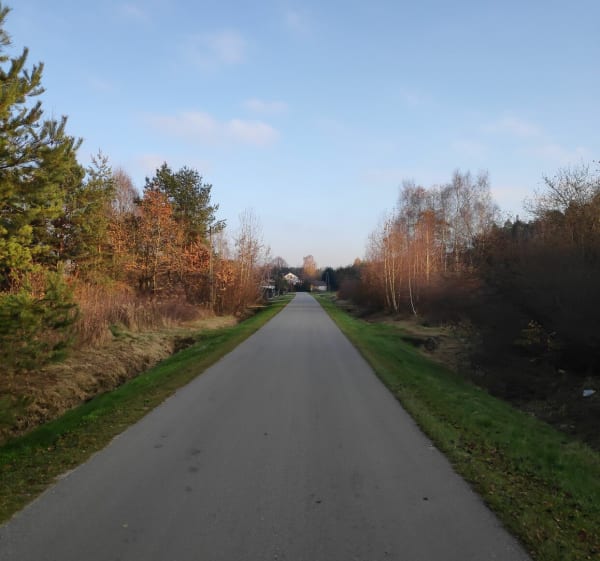 Pętelka czarniejska - Czarna - 1