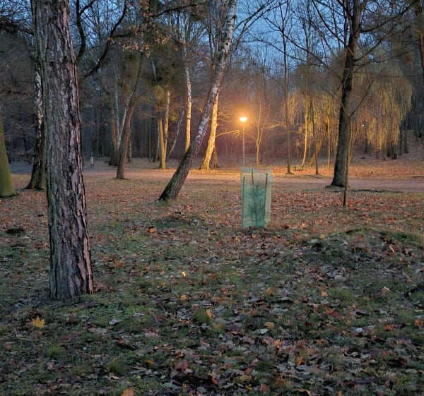 Park powstańców wielkopolskich - Śrem - 1