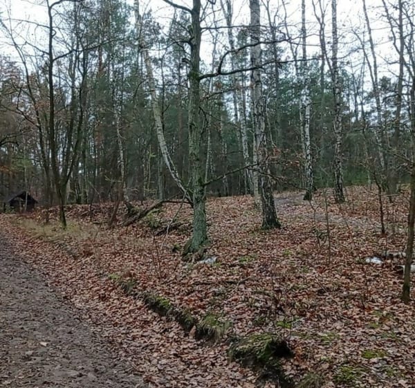 Przez Matecznik nad rzęczkę - Andrzej - 1