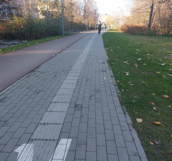 Spacer alejka przy parku - Katowice - 1