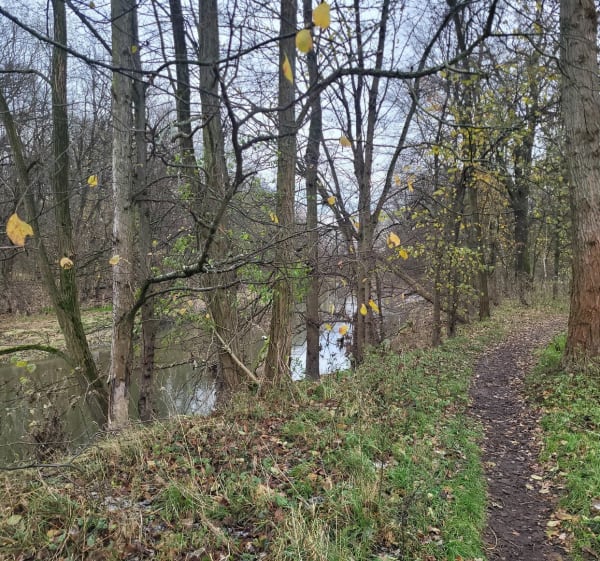 Trasa Bystrzycko - Mokrzańska - Wrocław - 1