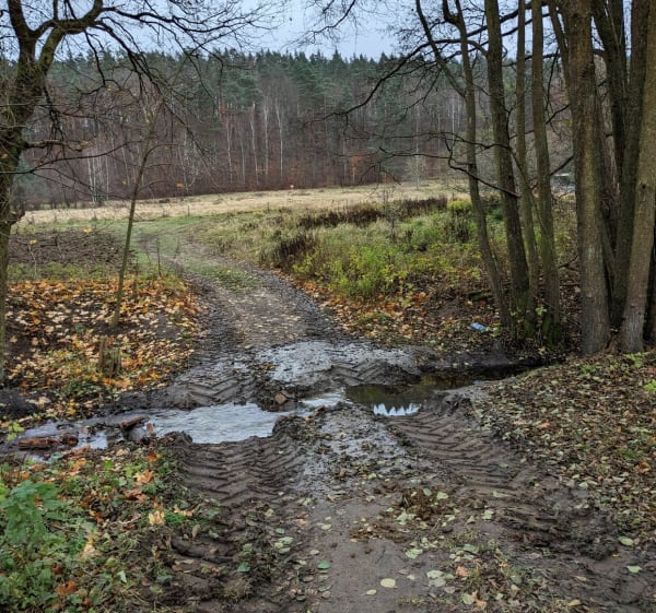 Wycieczka do punktu widokowego na Dolinę Ewy - Gdańsk - 1