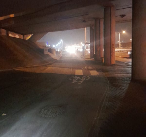 Petla przy Trasie Toruńskiej od Atrium Targówek do Marekk - Warszawa - 1