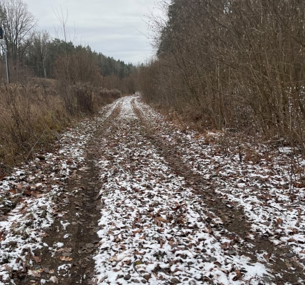 Leśny spacer po niedzielnym rosołku - Białystok - 1