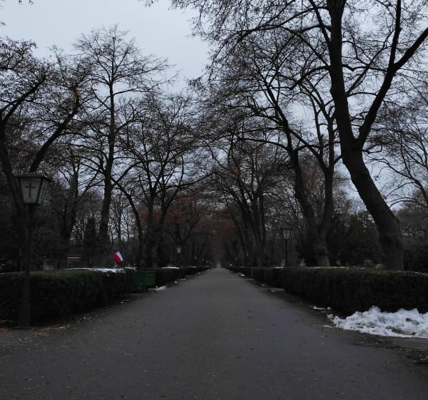 Cmentarz Bródnowski na wskroś i z powrotem - Warszawa - 1