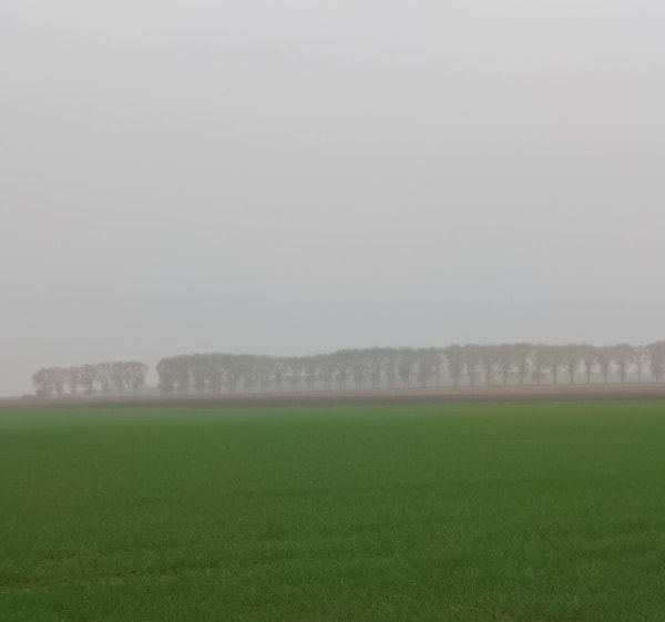 Marche sur Brienon-sur-Armançon, par la Pipe - Brienon-sur-Armançon - 1
