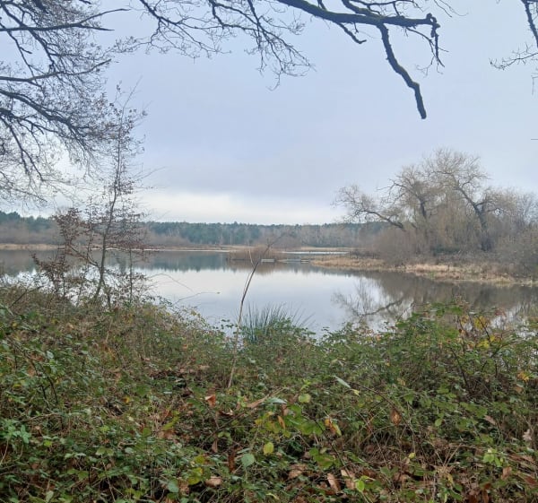 Balade forestière et étang des Landes - Pruniers-en-Sologne - 1