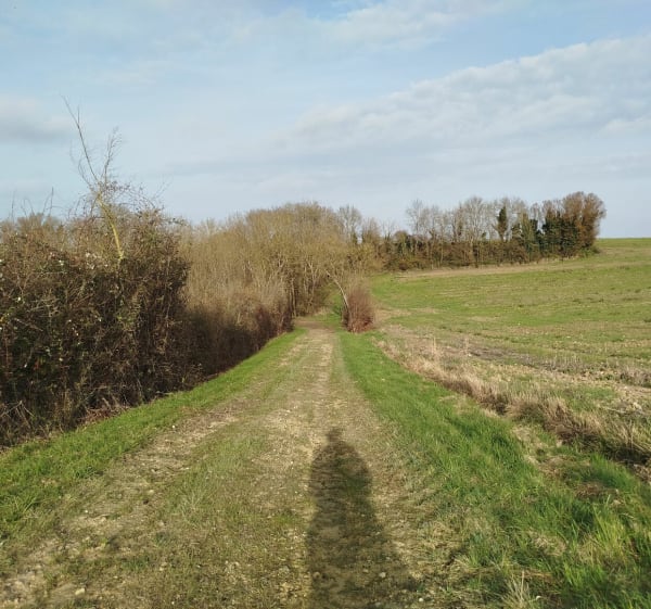 Circuit des terres hautes à Genouillé - Genouillé - 1