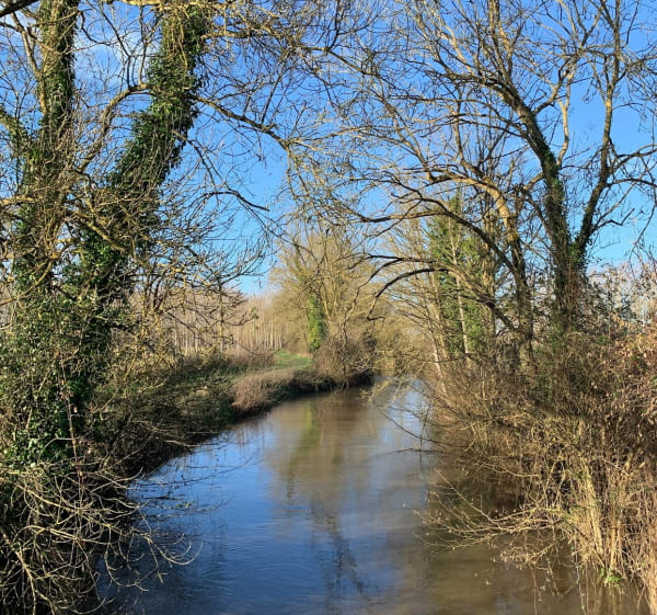 Petite sortie à Beaufort en Anjou - Beaufort-en-Anjou - 1