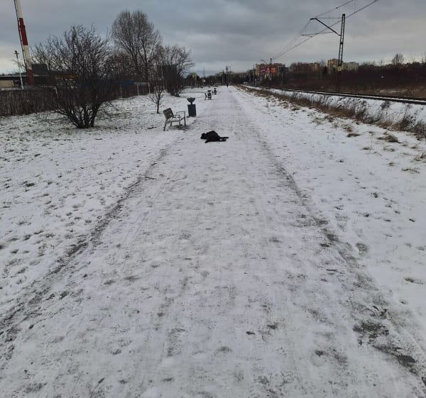 Do Parku Tysiąclecia - Wrocław - 1