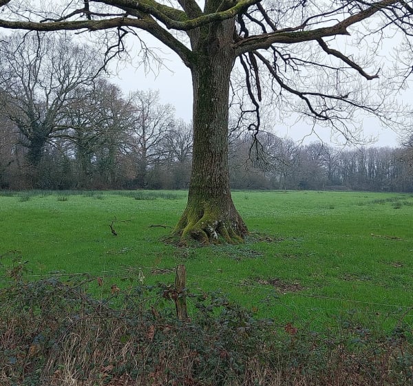 Balade  campagnarde à Saint-Étienne-du-Bois - Sandrine - 1
