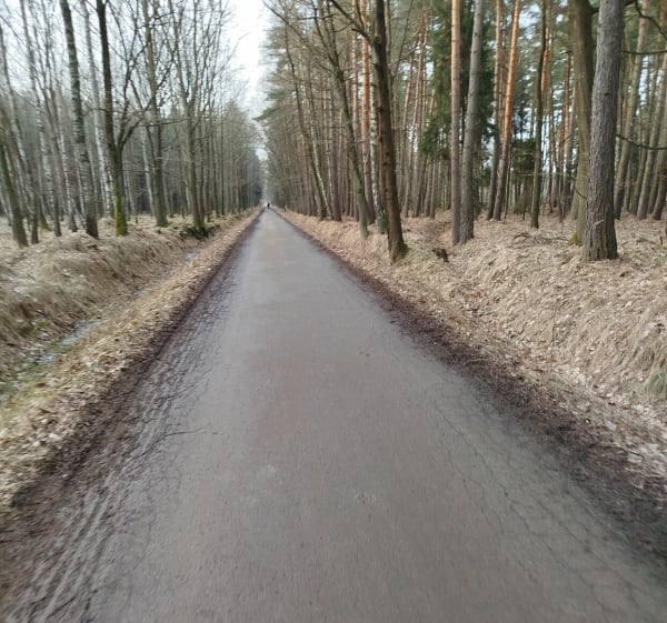 Spacerek nad Zaporą - Zabrzeg - 1