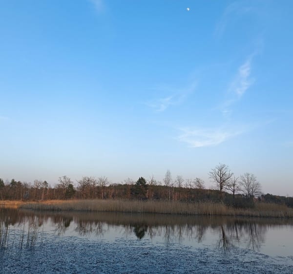 Trasa na stawy - Wołów - 1