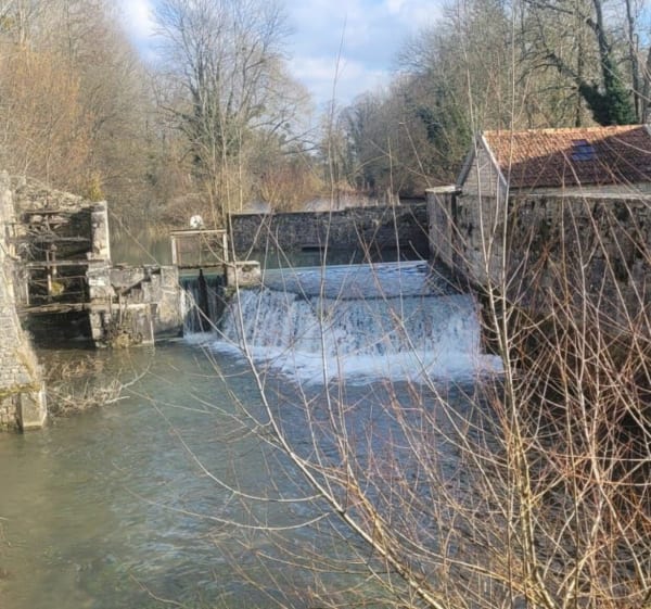 Balade en forêt de Châtillon - Châtillon-sur-Seine - 1