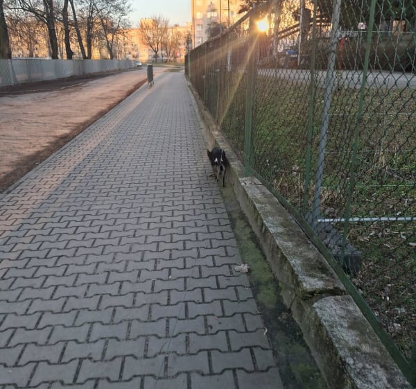 Żwirownia polew Leszczynko - Leszno - 1