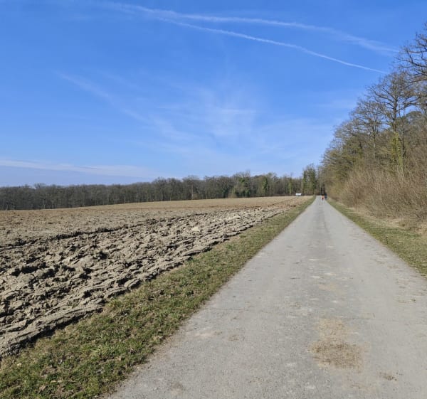 Randonnée à Woustviller - Woustviller - 1