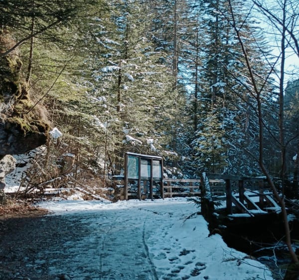 Na Polanę Olczyską - Zakopane - 1