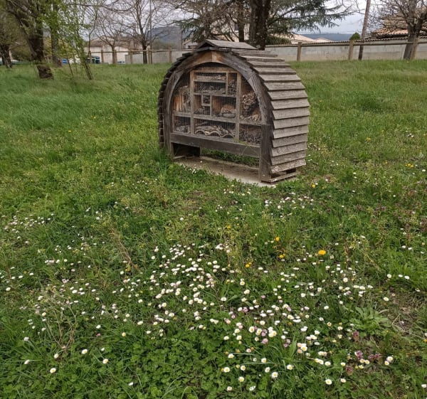 Balade au tour des îles Feray. - Tournon-sur-Rhône - 1